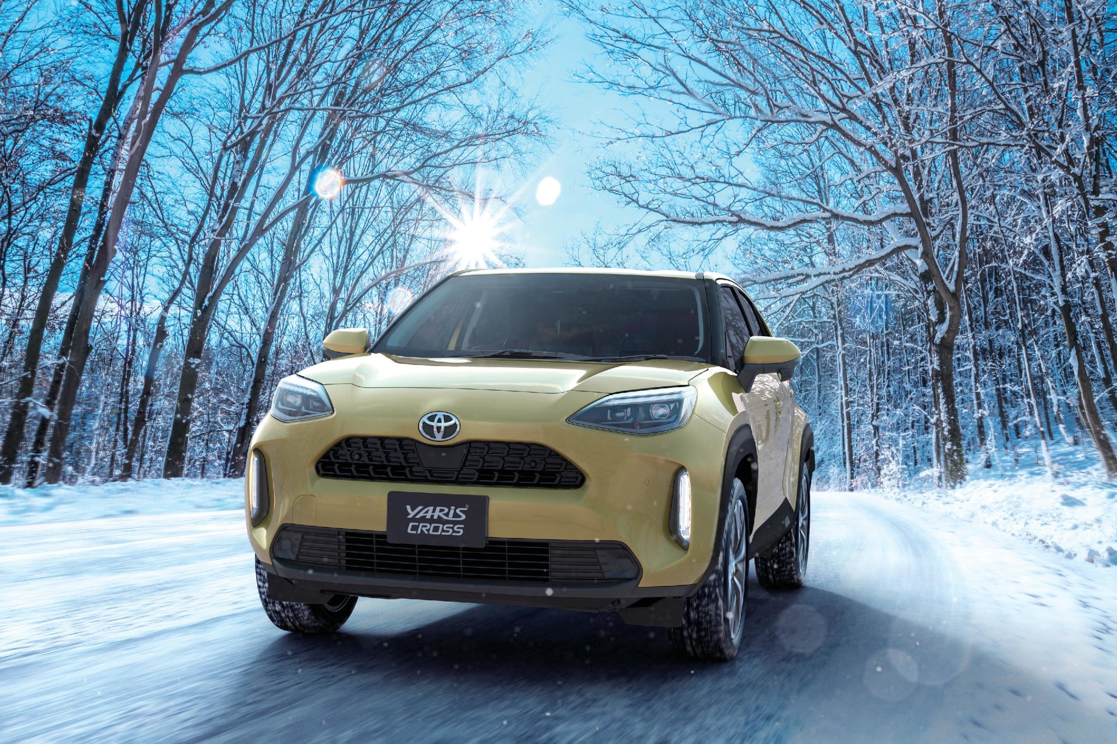Z(4WD)