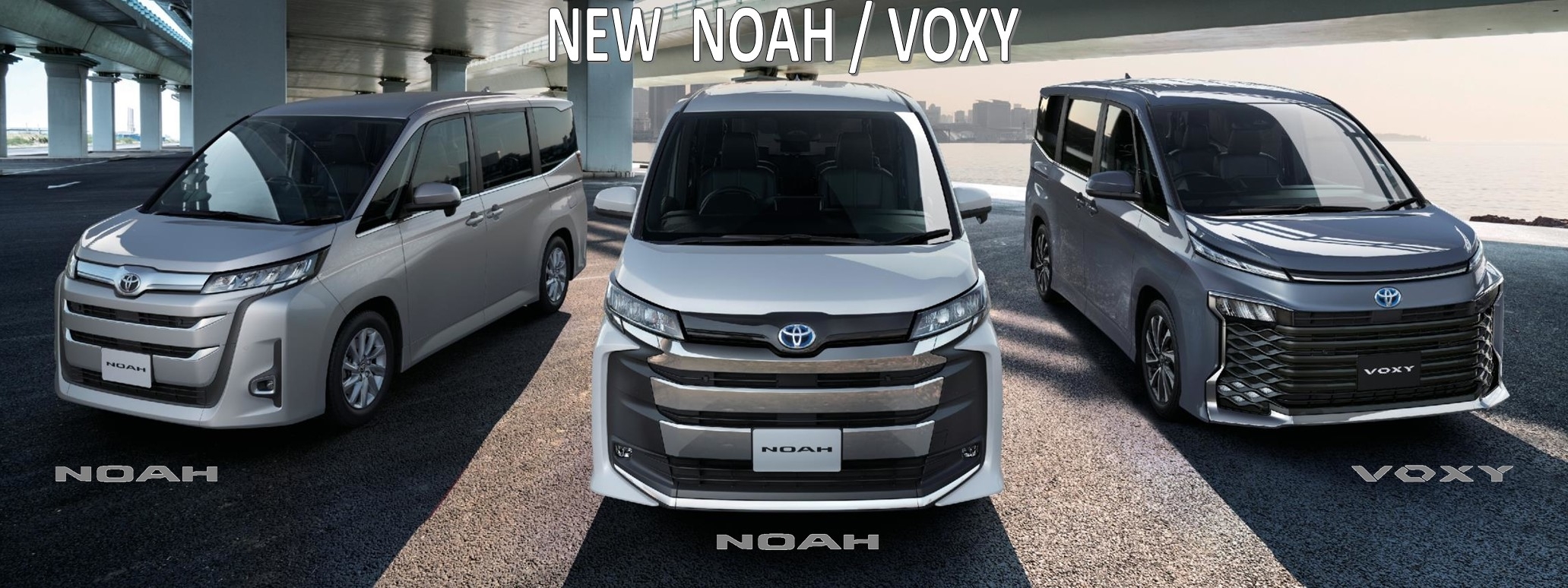 NOAH VOXY